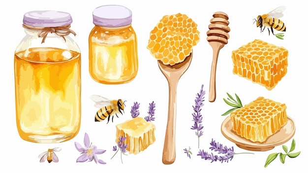 a drawing of honey and honey with a jar of honey