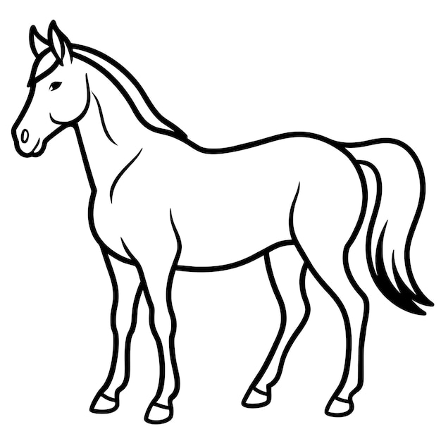 Vector a drawing of a horse with a horse on it