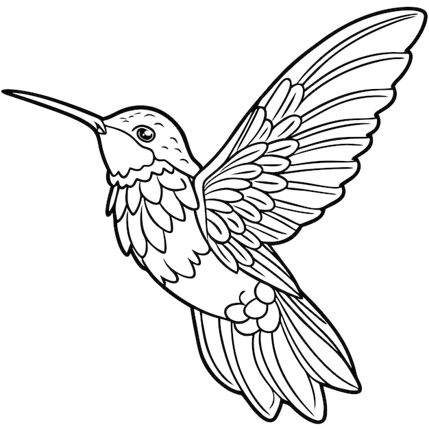 a drawing of a hummingbird with a black outline