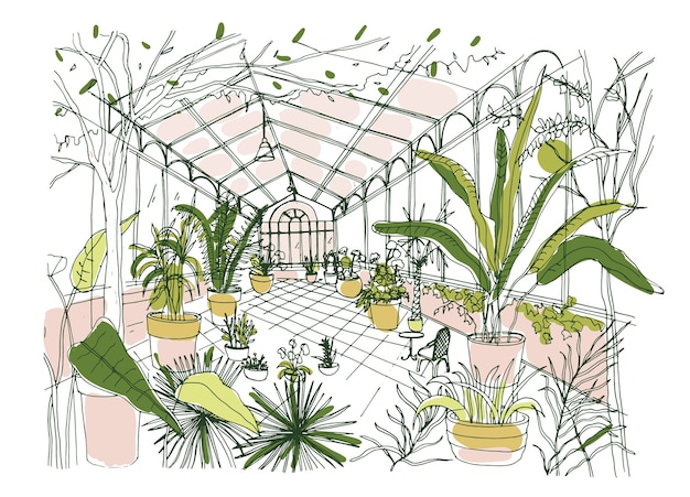 Drawing of interior of tropical botanical garden full of cultivated plants with lush foliage