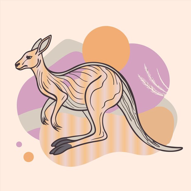 Vector a drawing of a kangaroo with a pink background with the word kangaroo on it