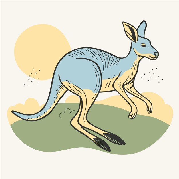 Vector a drawing of a kangaroo with the word kangaroo on it