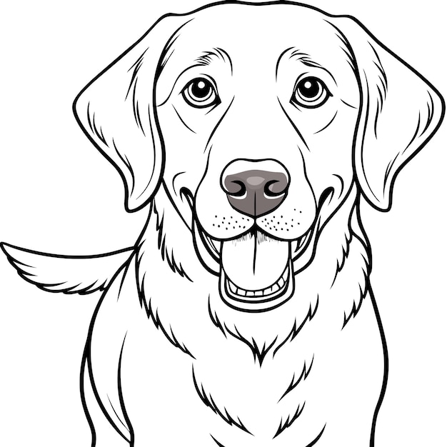 Vector a drawing of a labrador retriever line art dog that has a white background