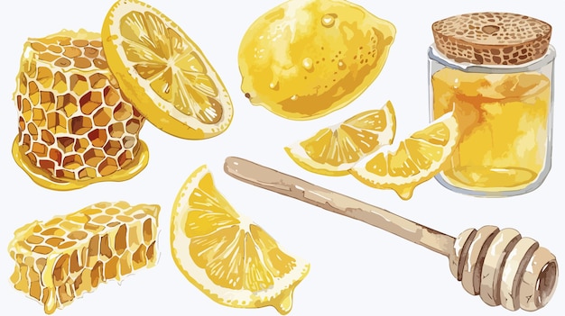 Vector a drawing of lemons and a knife with a spoon