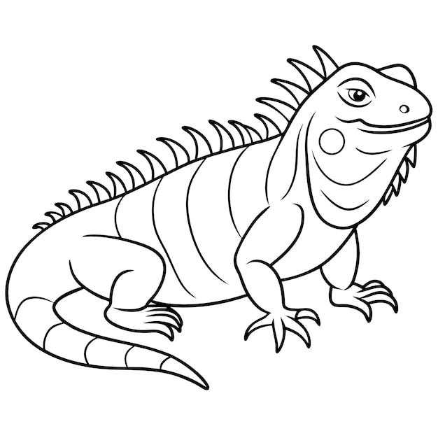 Vector a drawing of a lizard with a black outline and a white background