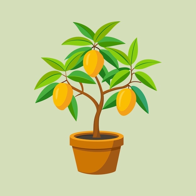 Vector a drawing of a mango plant with a pot