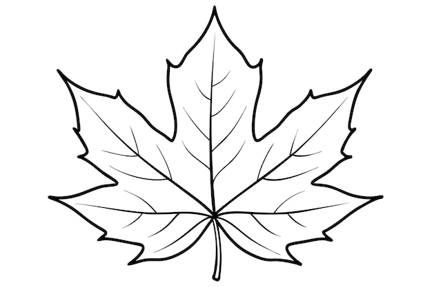 a drawing of a maple leaf with a white background that says maple