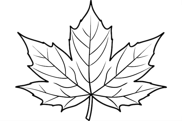 a drawing of a maple leaf with a white background that says maple