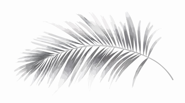 Vector a drawing of a palm leaf from the collection