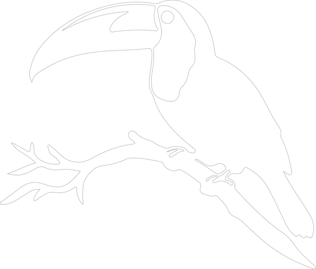 Vector a drawing of a parrot with a black beak and a white outline