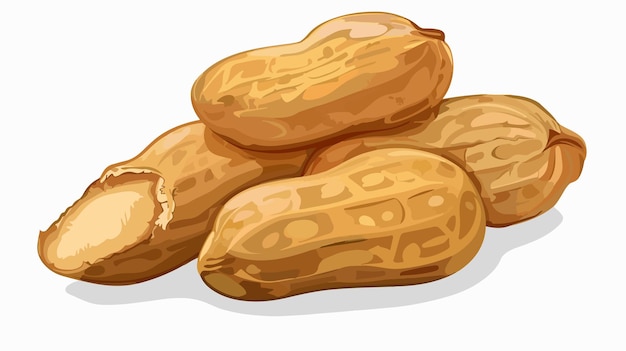 a drawing of a peanut with the date on it