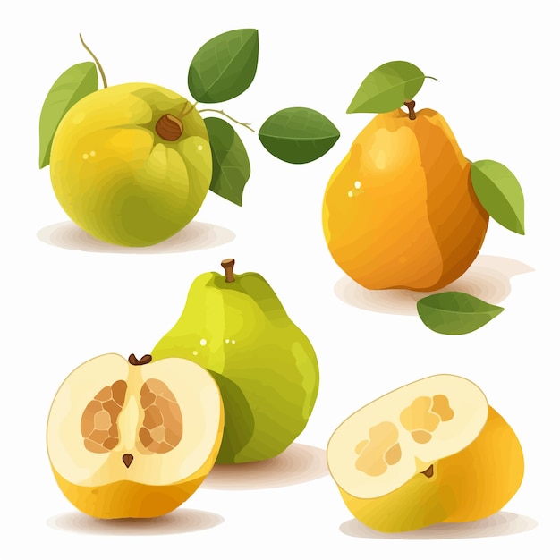 A drawing of pears and a half of a pear.