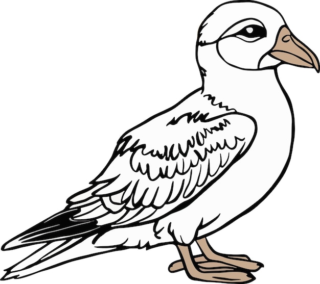 a drawing of a petrel with a white background