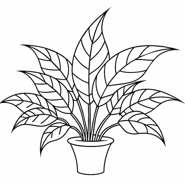 Vector a drawing of a plant with a black outline of a plant with the title  spiky  on it