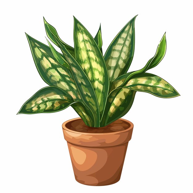 Vector a drawing of a plant with green leaves and a brown pot with a green plant in it