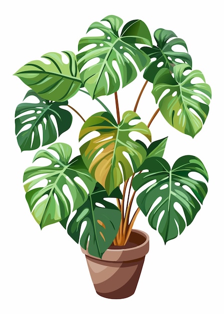 a drawing of a plant with green leaves in a pot