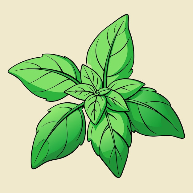 a drawing of a plant with green leaves