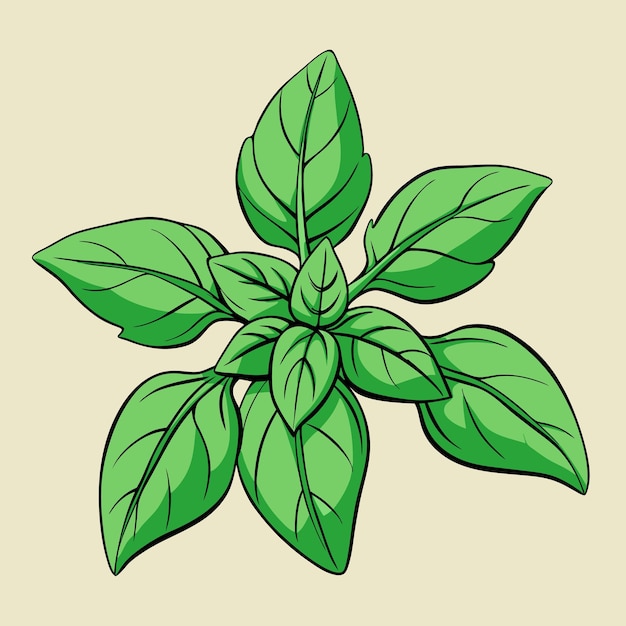 a drawing of a plant with green leaves