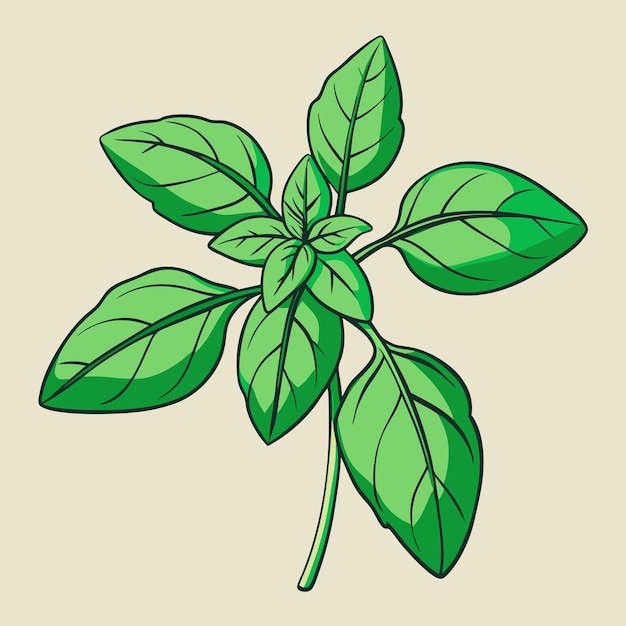 Vector a drawing of a plant with green leaves