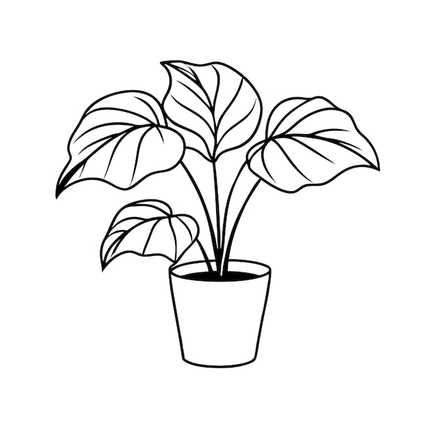 Vector a drawing of a plant with a leaf that says  plant