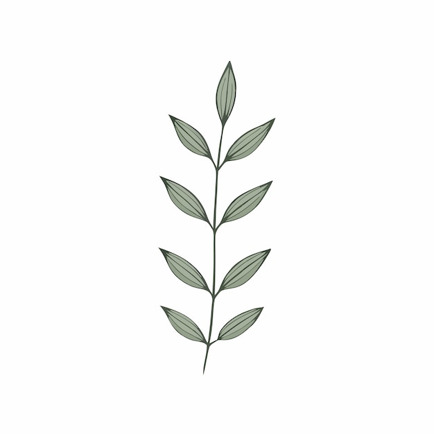 Vector a drawing of a plant with leaves that says  sprigs