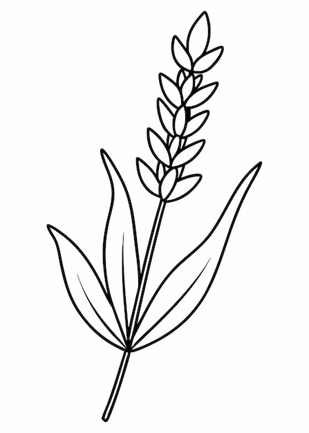 Vector a drawing of a plant with leaves that says  sprigs