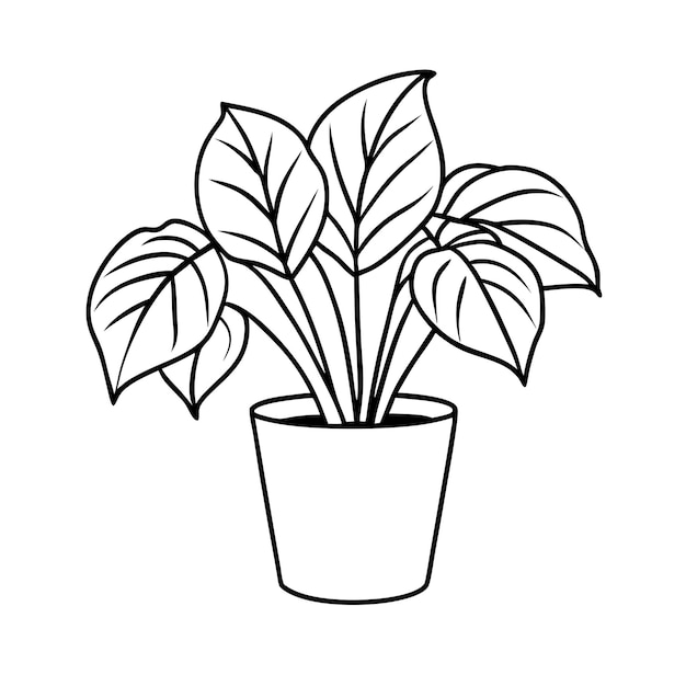 Vector a drawing of a plant with a plant in it