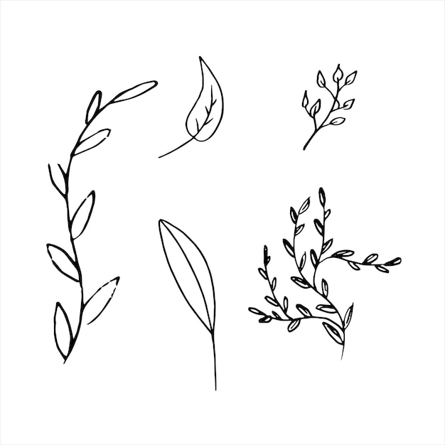 Vector a drawing of plants with a black outline and the words  weed  on the bottom