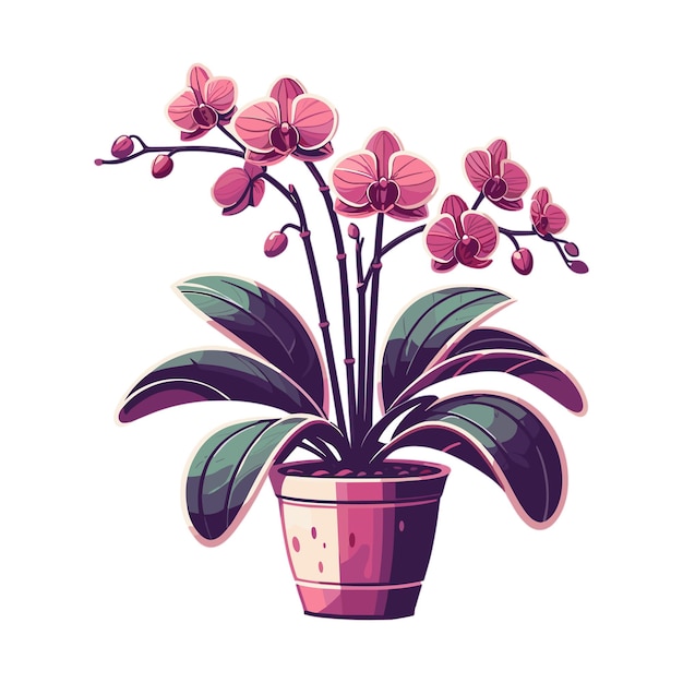 Vector a drawing of a potted plant with pink flowers