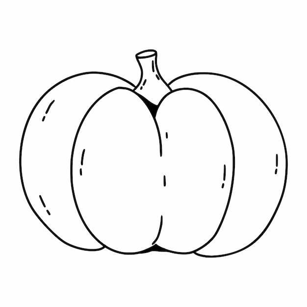 Drawing  pumpkin in doodle style. Coloring book with vegetables for children. Linear vector illustration.