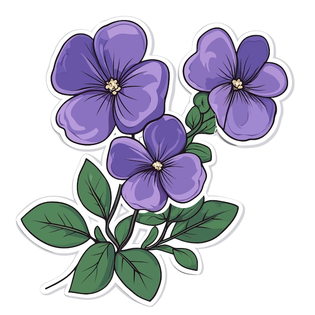 Vector a drawing of purple flowers with green leaves and purple flowers