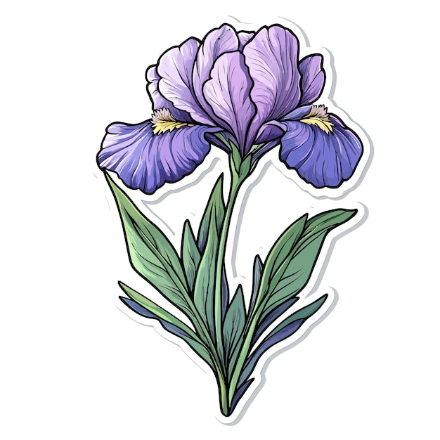 Vector a drawing of purple flowers with the word tulips on it