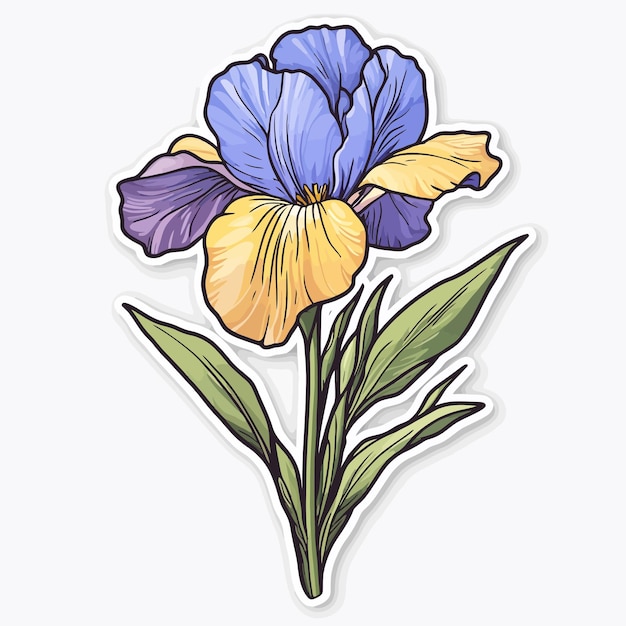 Vector a drawing of purple flowers with the word tulips on it