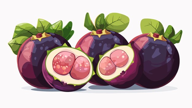 Vector a drawing of a purple passion fruit with green leaves