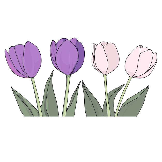 a drawing of purple tulips with the words the word tulips on the bottom