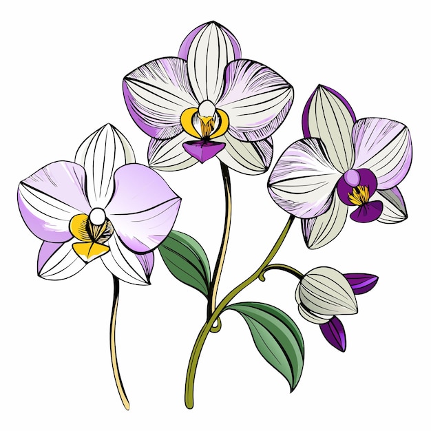 Vector a drawing of a purple and white flower with the words  spring  on it