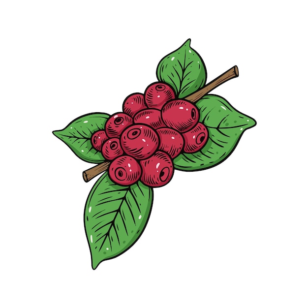 A drawing of a red berry on a branch