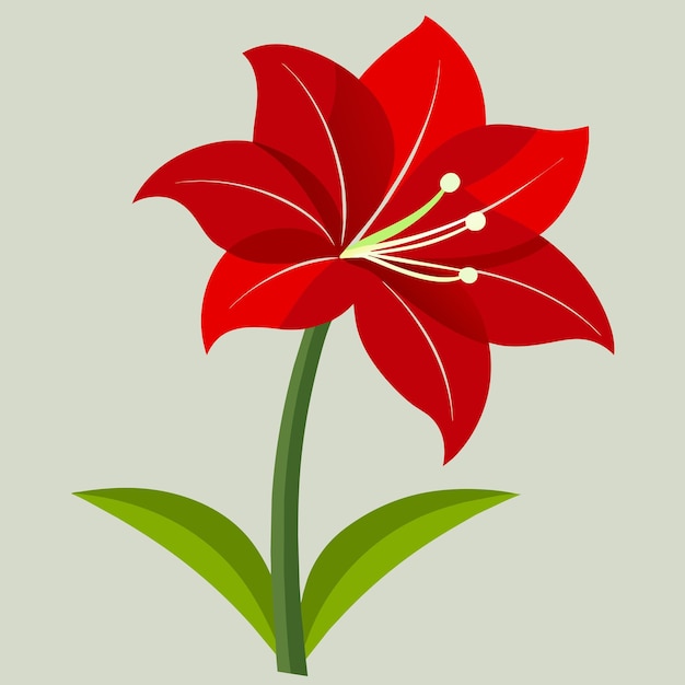 a drawing of a red flower with the word quot stamen quot on it