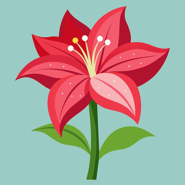 a drawing of a red flower with the words lily on it