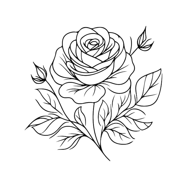 a drawing of a rose with the words  rose  on it