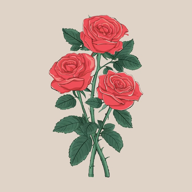 a drawing of a rose with the words  roses  on it