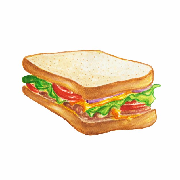 Vector a drawing of a sandwich with tomatoes and lettuce