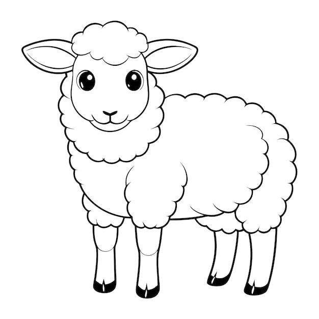 a drawing of a sheep vector line illustration