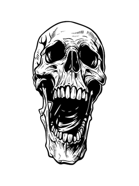 Vector a drawing of a skull with a mouth open