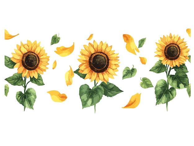 a drawing of sunflowers with leaves that say sunflowers