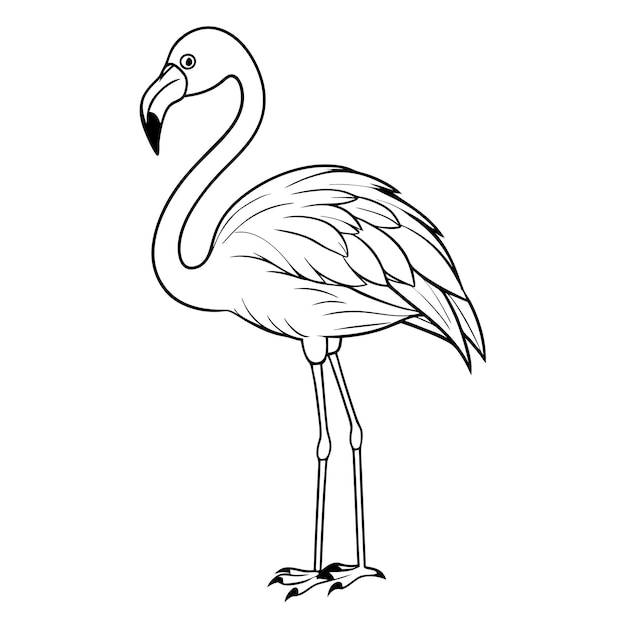 a drawing of a swan with a black beak and a white background