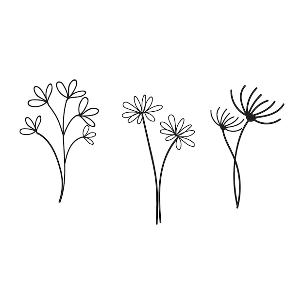 A drawing of three flowers on a white background.