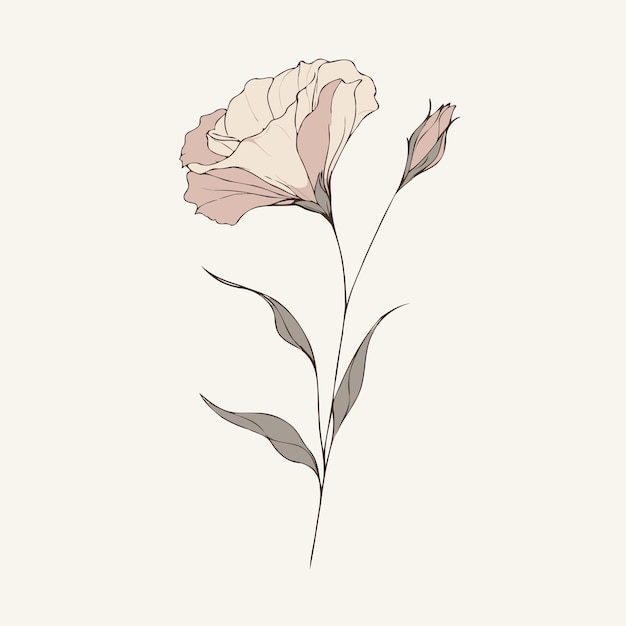 a drawing of three roses with one that says three blooming lisianthus pink flowers Eustoma