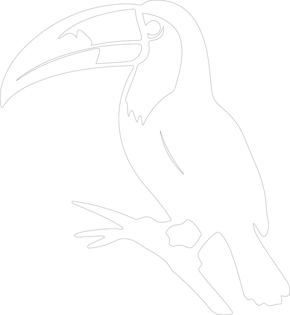 a drawing of a toucan with a black beak