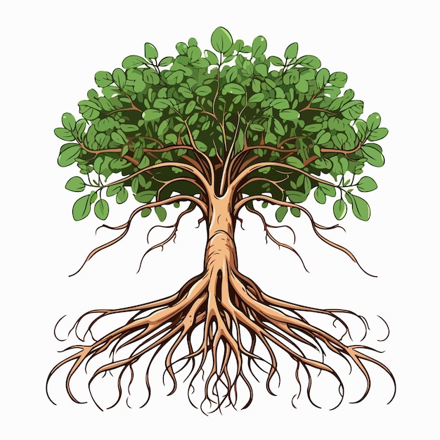 a drawing of a tree with the roots exposed